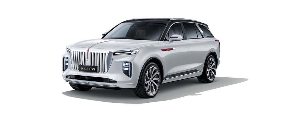 Hongqi E-HS9 (紅旗E-HS9) This is the type of Chinese car I